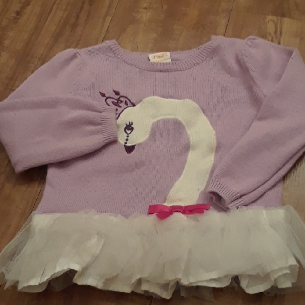 Beautiful Swan Lake sweater